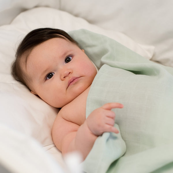 Summerville - mussola quadrata verde chiaro