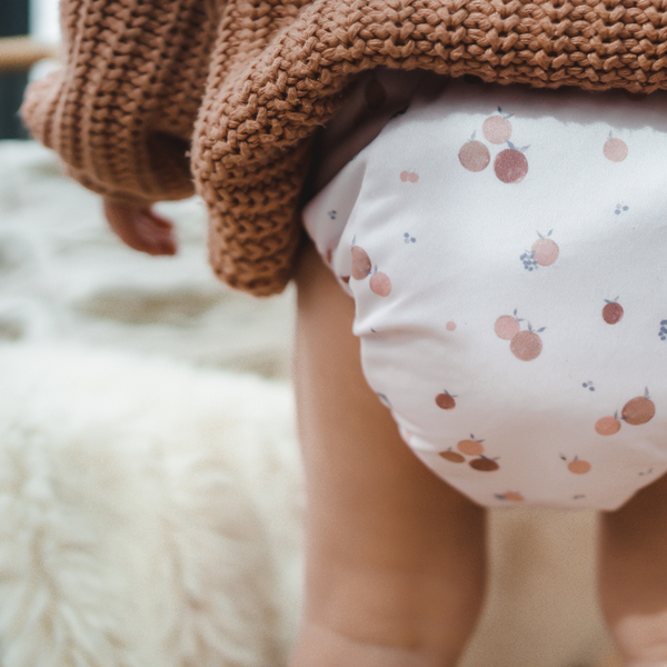 Modern cloth nappies - aio organico Rainbow - Oatmeal