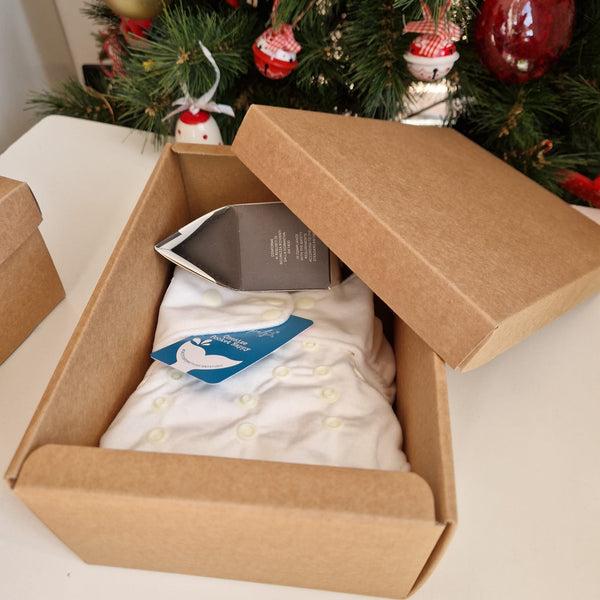 Regalo - iniziare con i pannolini, pannolino/ciuccio/consulenza sui pannolini lavabili