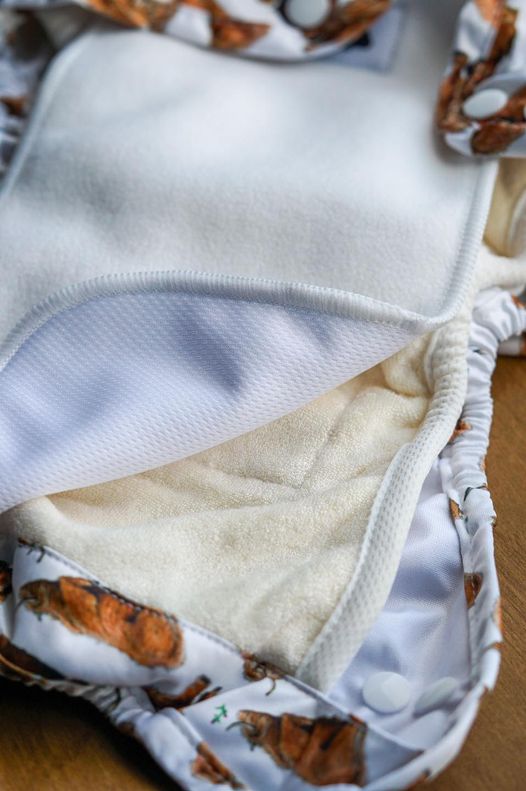 Bear Bott - 2 veline stay dry colorate