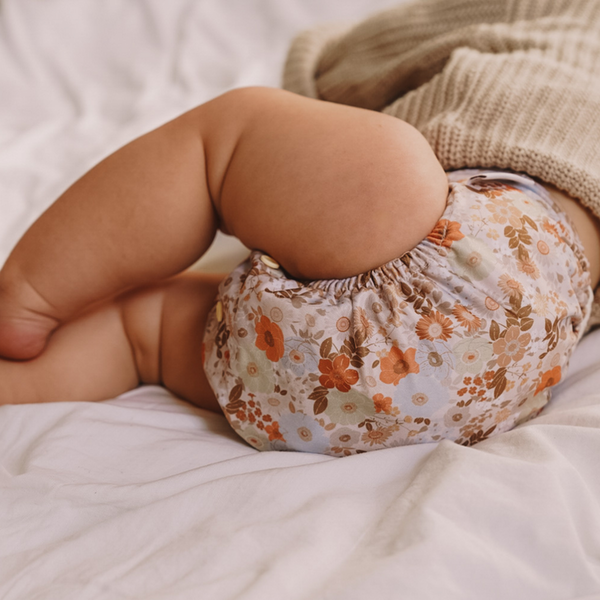 Modern cloth nappies - aio organico Rainbow - Oatmeal