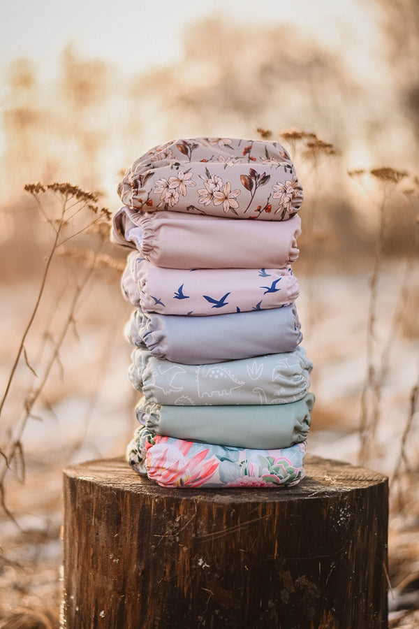 Ecomini - Ai2 cotone Tigers play