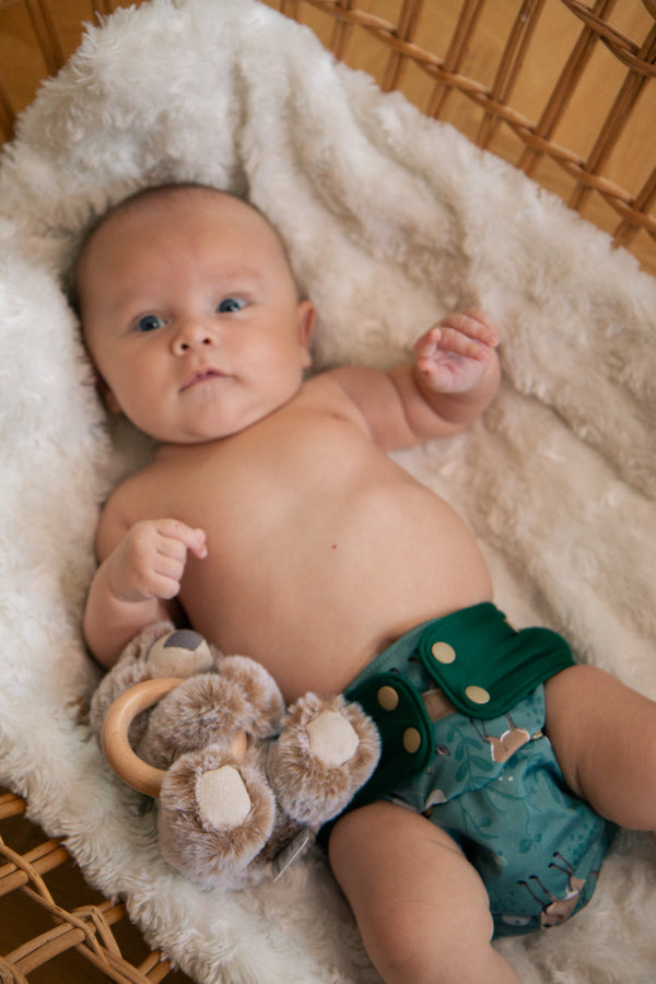 Green Poppy - pocket Coolmax organico funghi