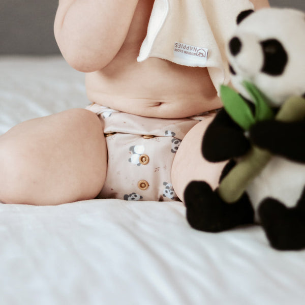 Modern cloth nappies - aio organico Dusty Rose