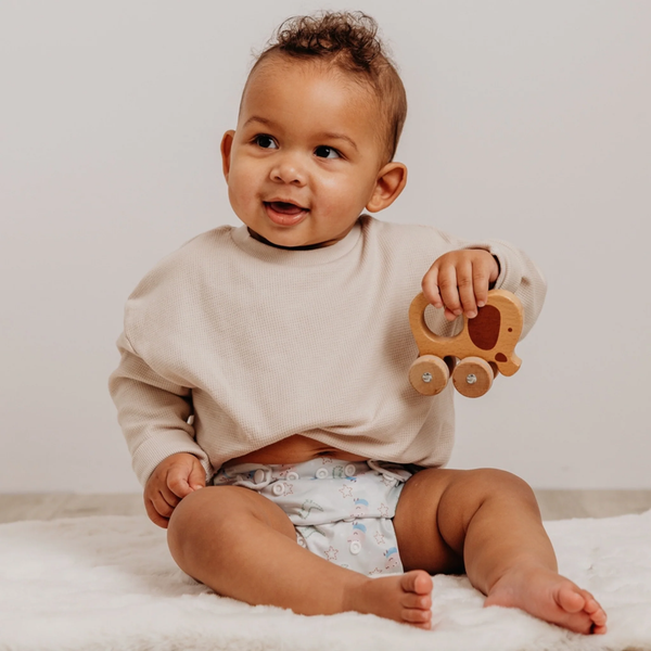 Modern cloth nappies - aio organico Peppa Pig Pink George Pig | Sage