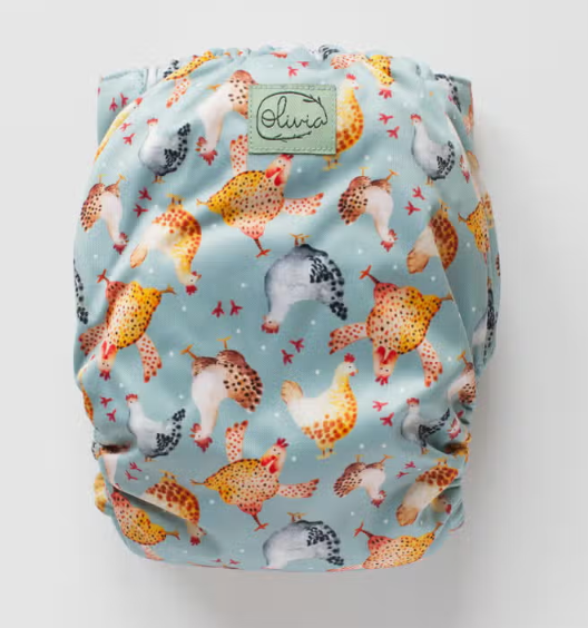 Olivia - wide normale galline