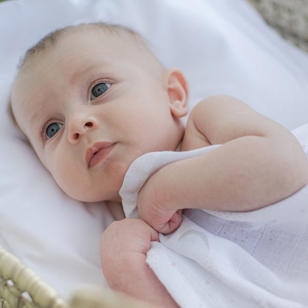 Summerville - mussola quadrata biologica bianca