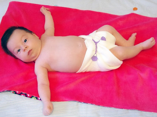 Petit Lulu - Snappi 1 pz colori misti