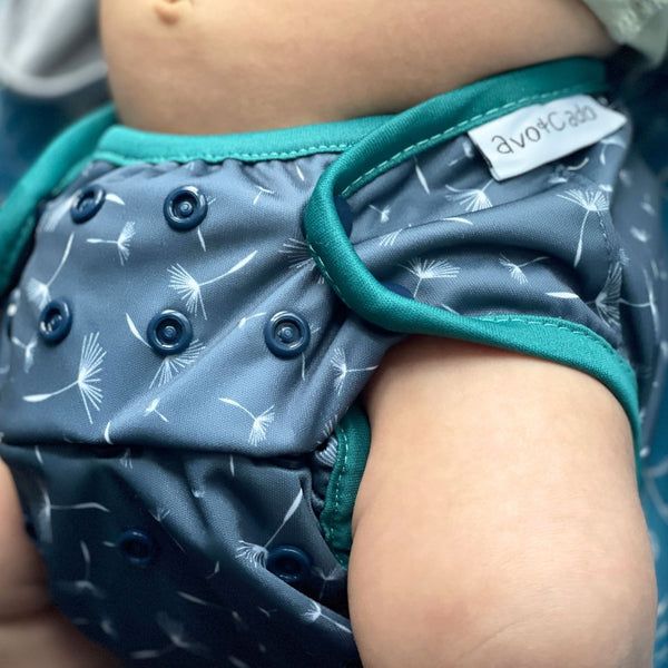 Avocado - cover 5/15 kg api