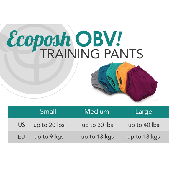 Rumparooz - taglia S 9kg mutandina trainer ecoposh OBV + viola