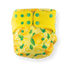 Green Poppy - cover limoni