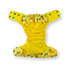 files/12.png