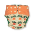 Green Poppy - cover tulipani