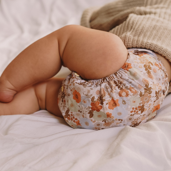 Modern cloth nappies - aio organico Dewkist