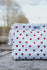 files/DSC_9105.jpg