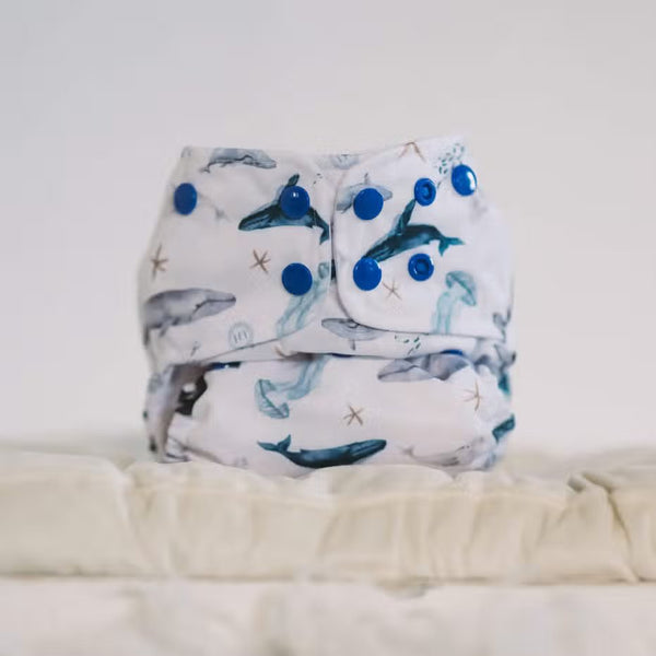 Lighthouse kids - pocket con inserto piegato in bamboo whale tale