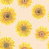 products/sunny-blooms_pannolini-lavabili-designer-bums-salviettine.jpg